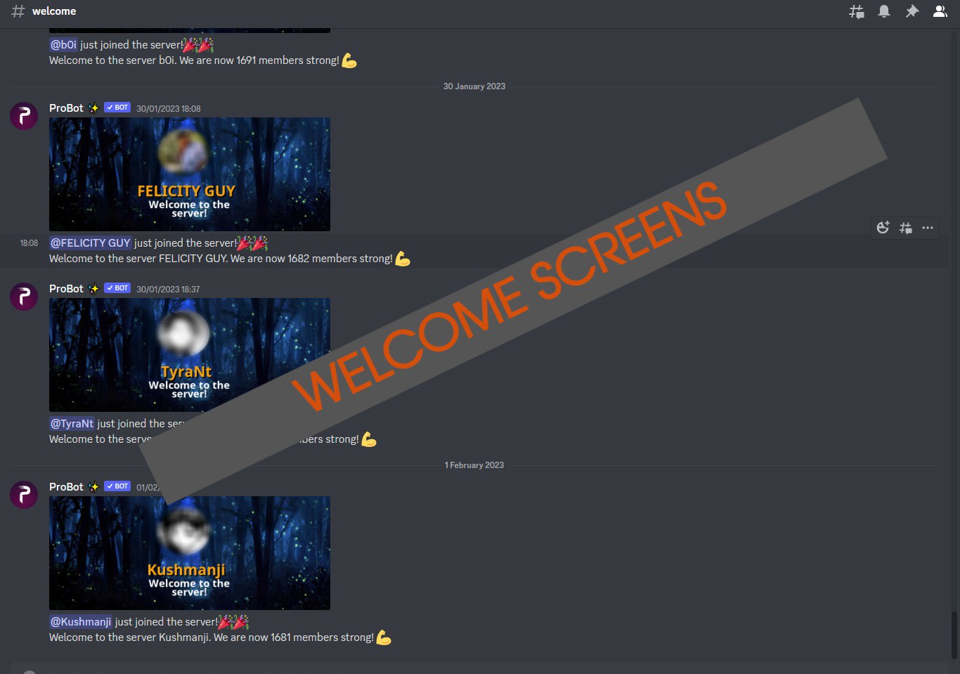 Complete Professional Discord Server Setup