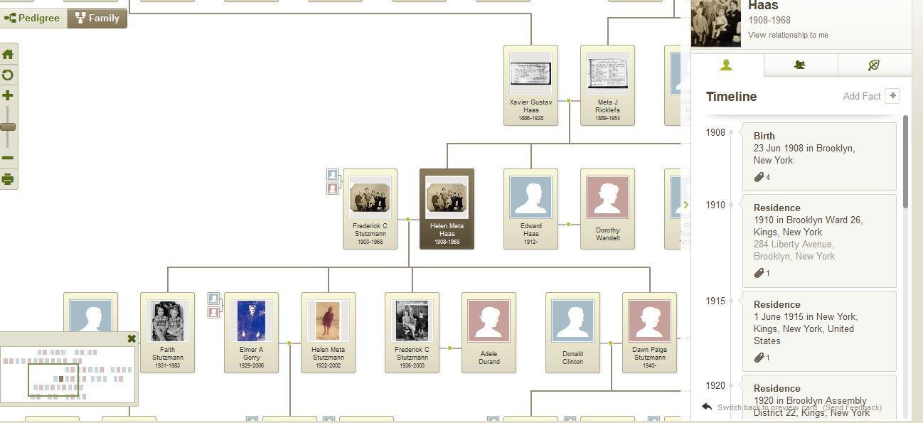 Ancestry: utile App per creare il vostro albero genealogico 