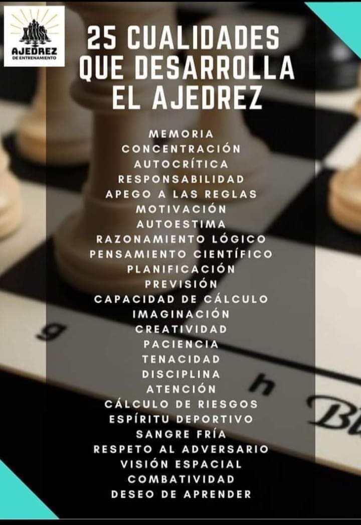 clases de ajedrez , entrenamiento profesional
