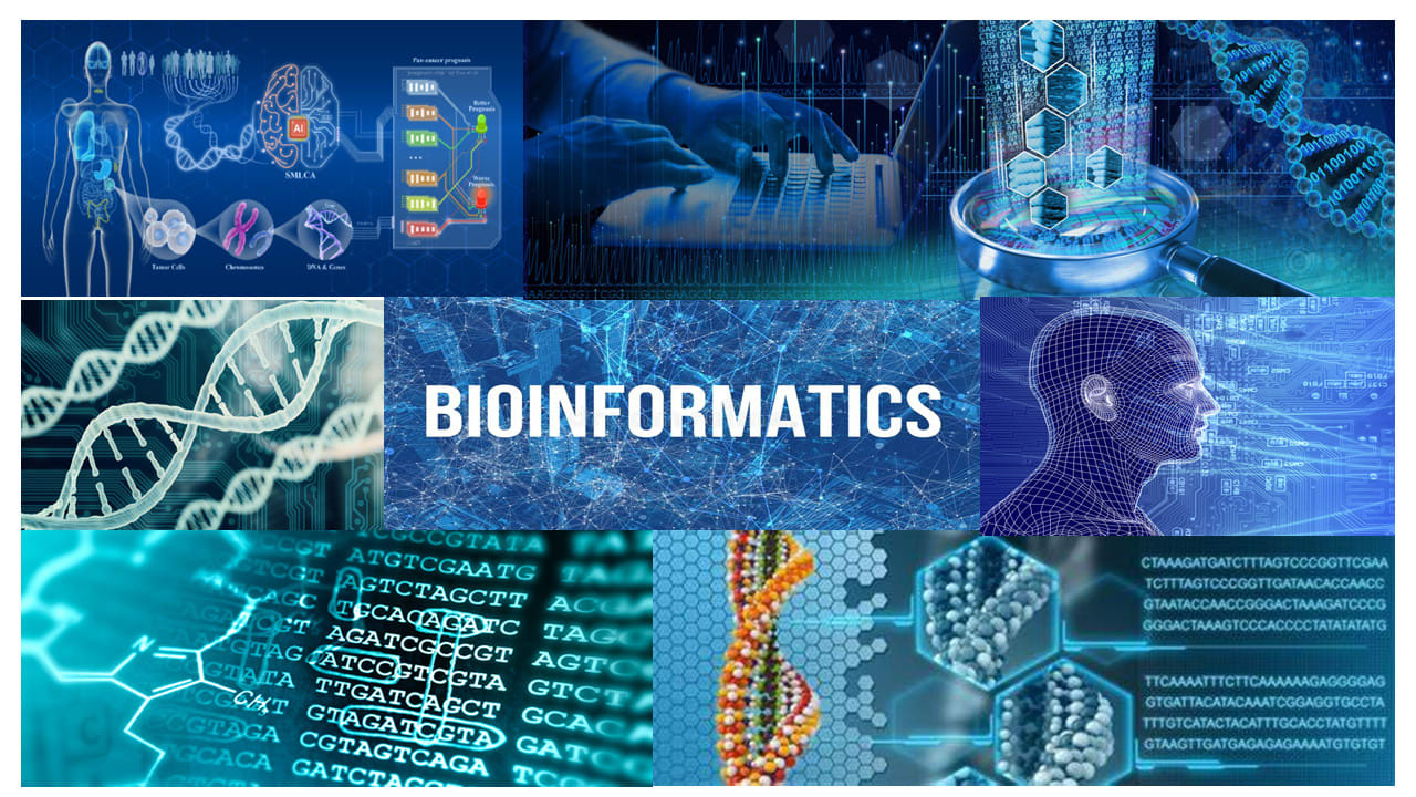 Computational Biology Applications Of Deep Learning And