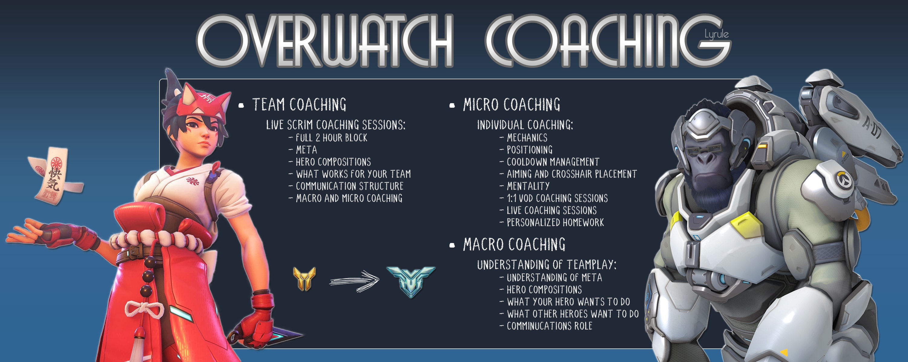 Coach your overwatch comp game with rein or winston for gold elo or under  by Maxx4t