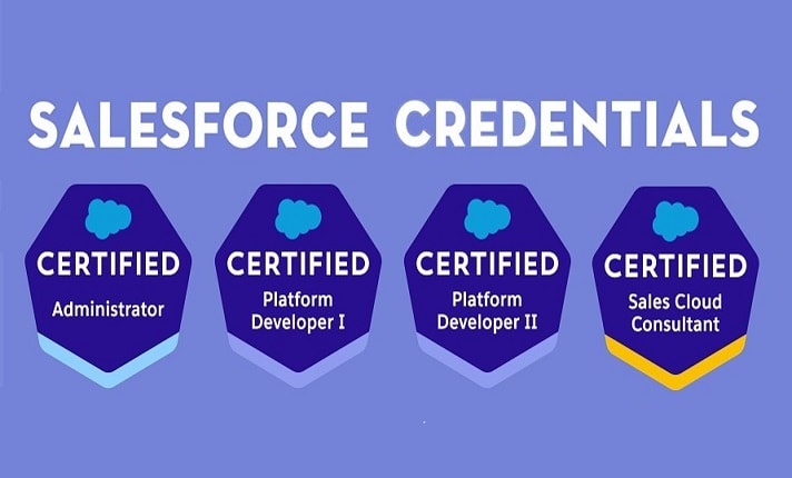 Salesforce Certified Developer Logo