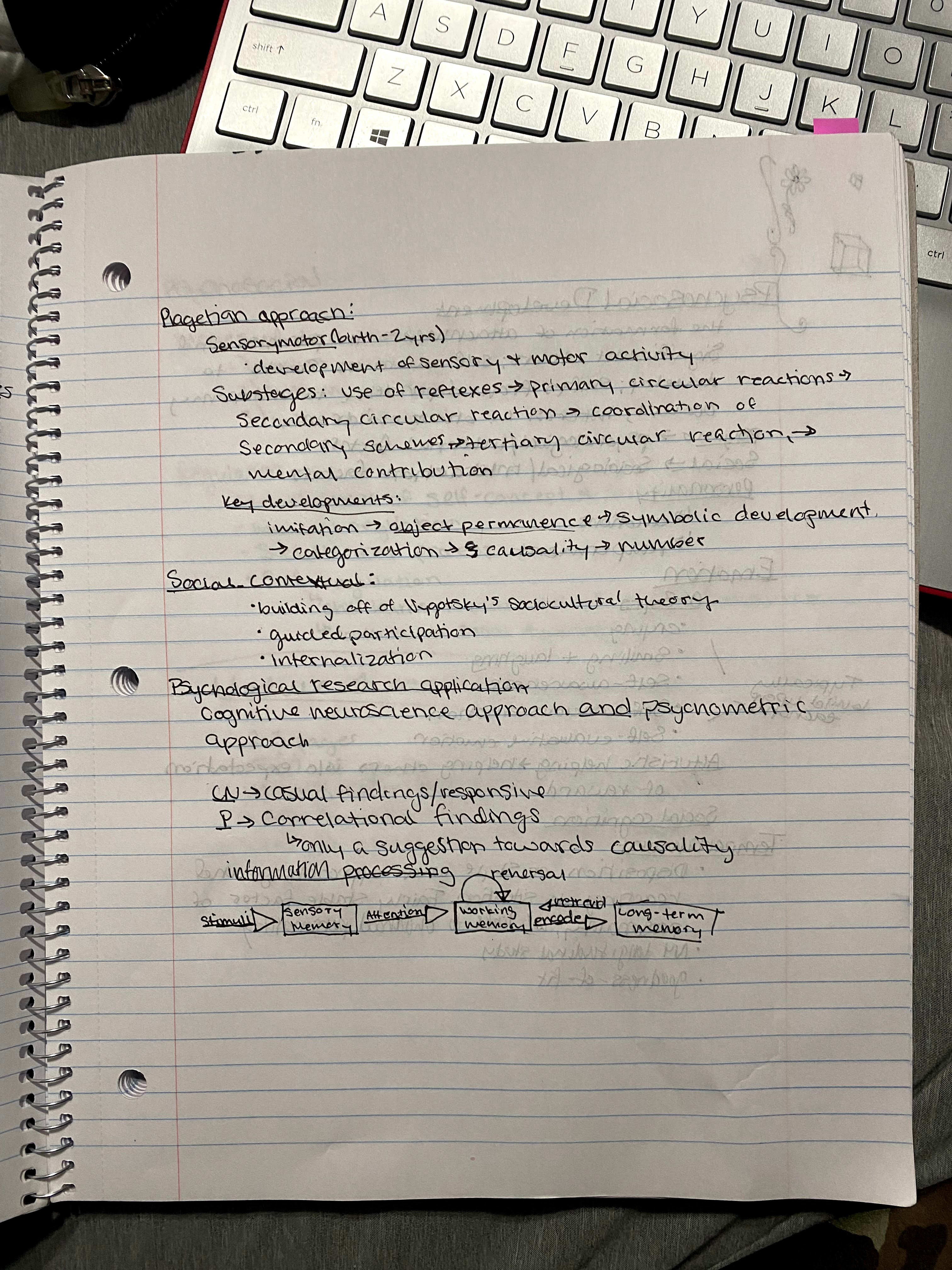 What Is Primary Circular Reaction