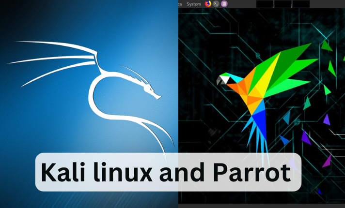 Teach kali linux and parrot with pentesting tips and tricks by Dev_coding |  Fiverr