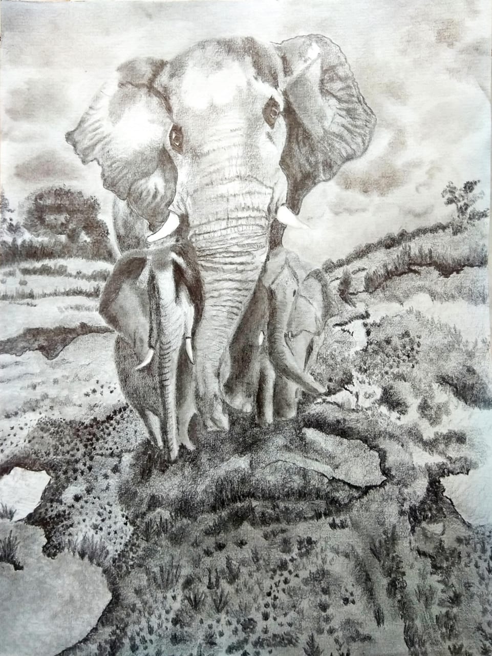 animal elephant photo composition pencil pen style drawing photo picture  image Stock Photo  Alamy