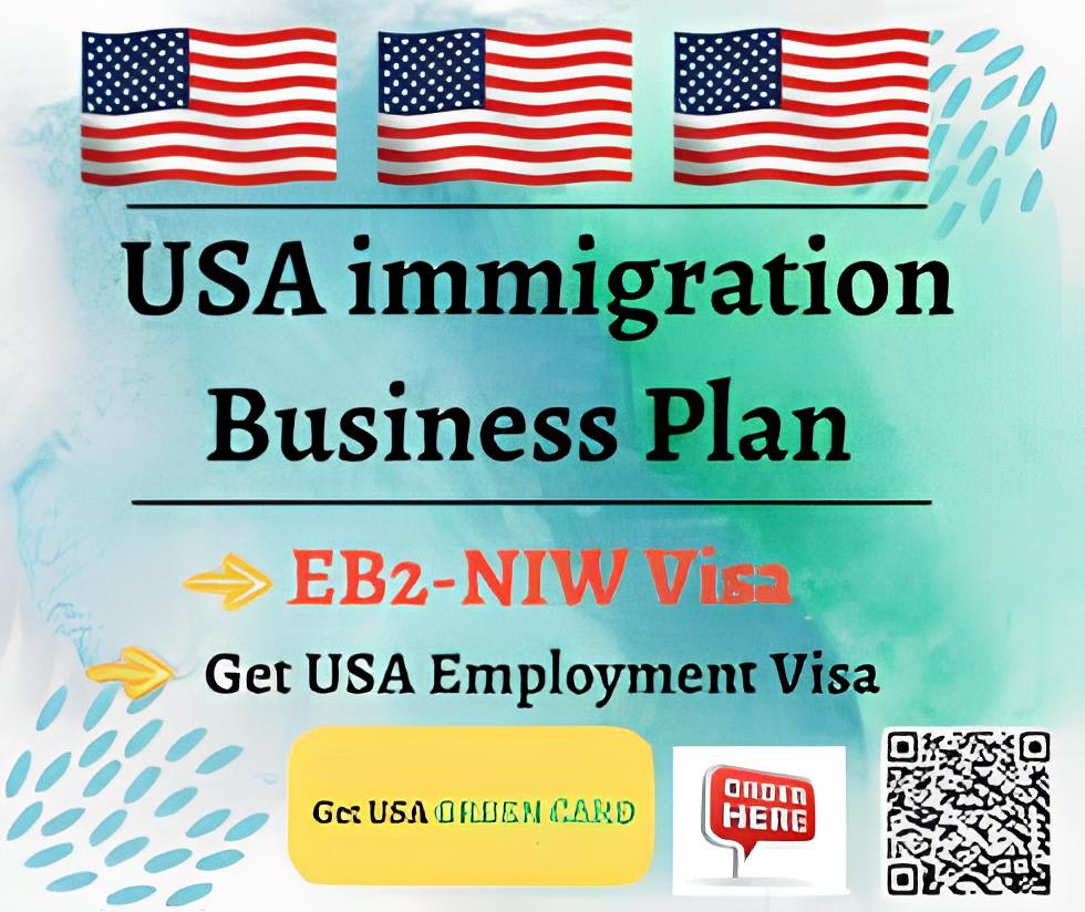 Visa Business Plans