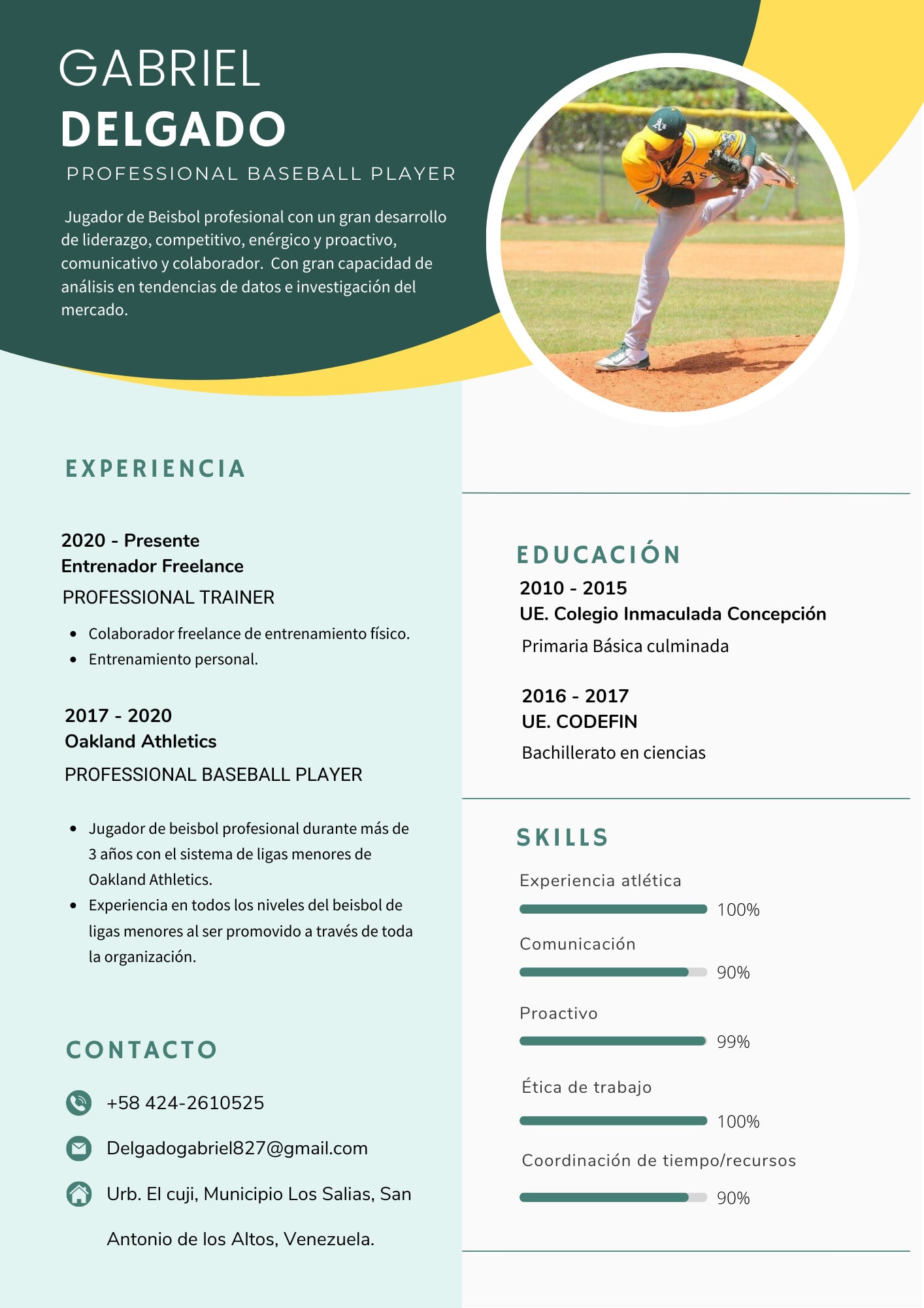 Professional Baseball Player Resume Sample