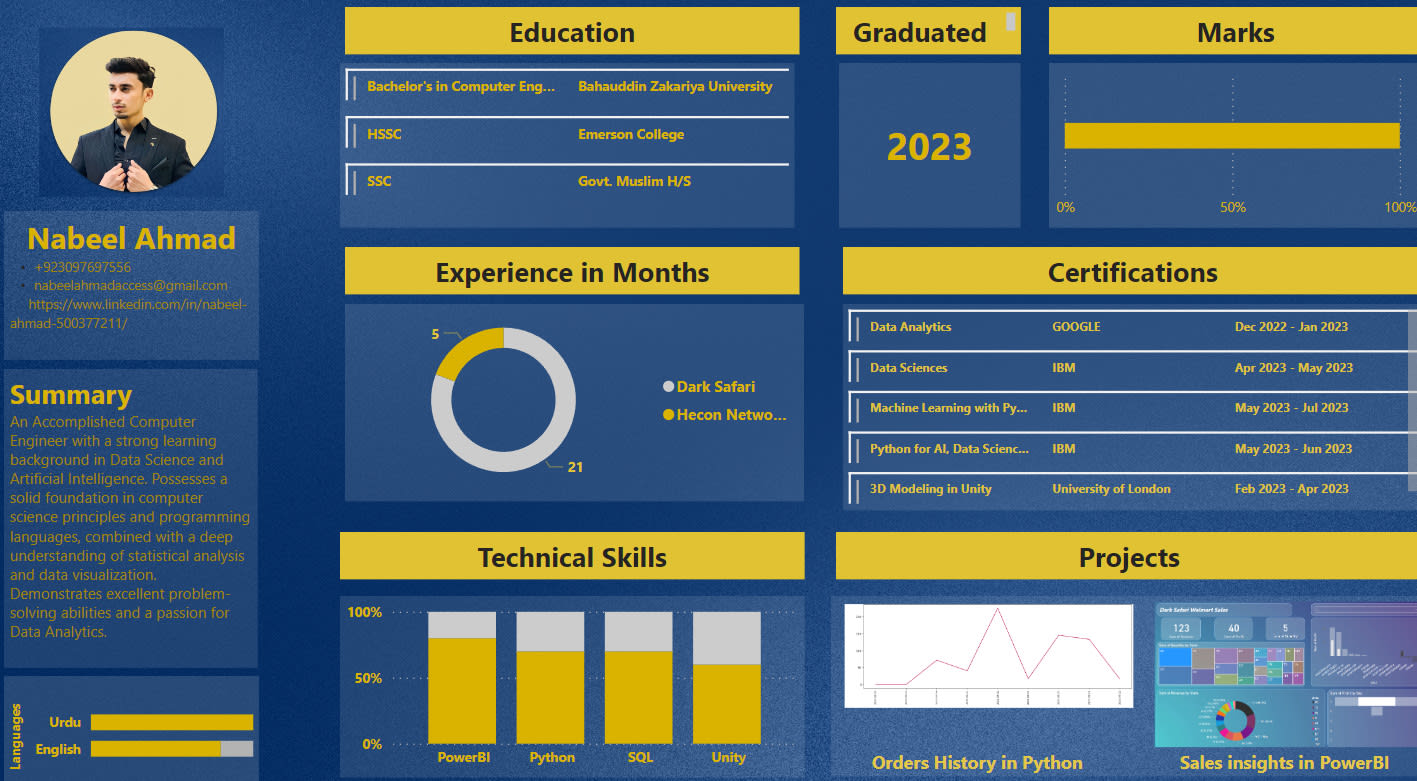 Build Your Interactive Resume On Powerbi By Usmaankhalid 57 OFF build-your-interactive-resume-on-powerbi-by-usmaankhalid-57-off