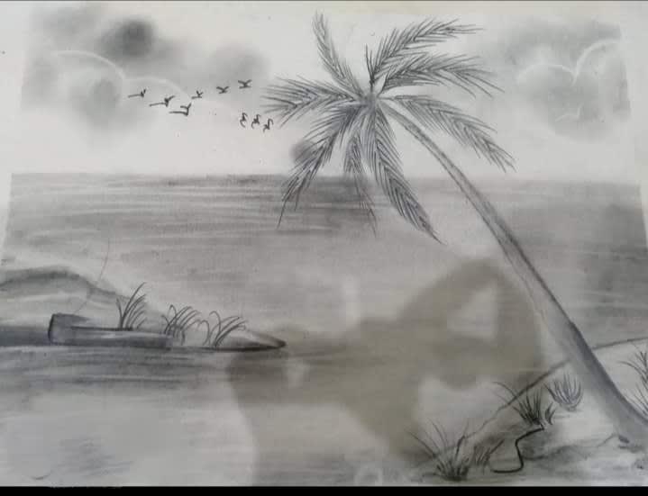 Draw pencil art illustrations and pencil sketch drawing by