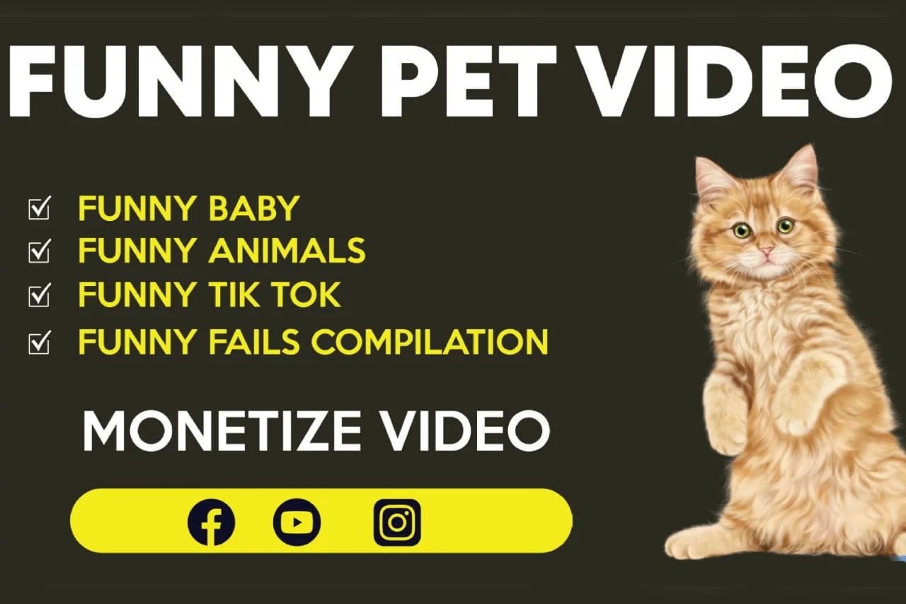 Copyright free funny animal videos hot sale