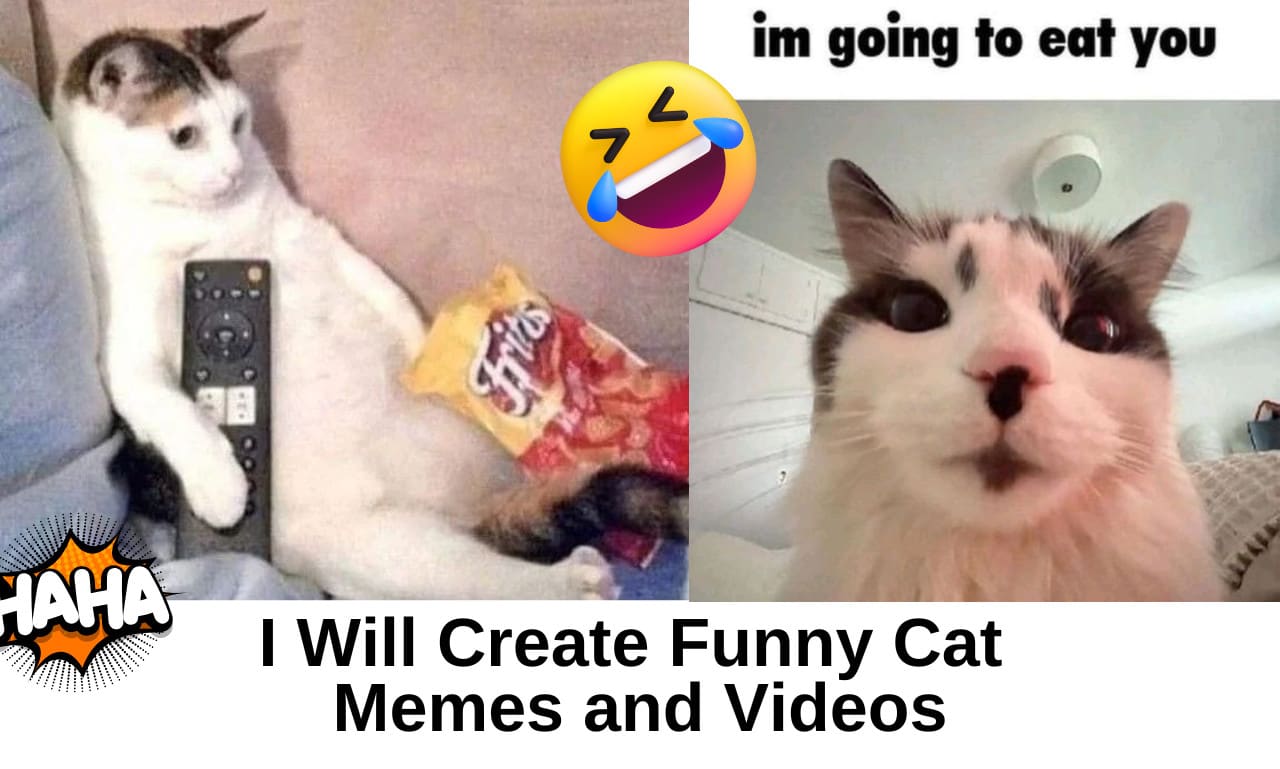 Funny Memes Tik Toks That Are Actually Funny Funny Face On Tiktok 2025