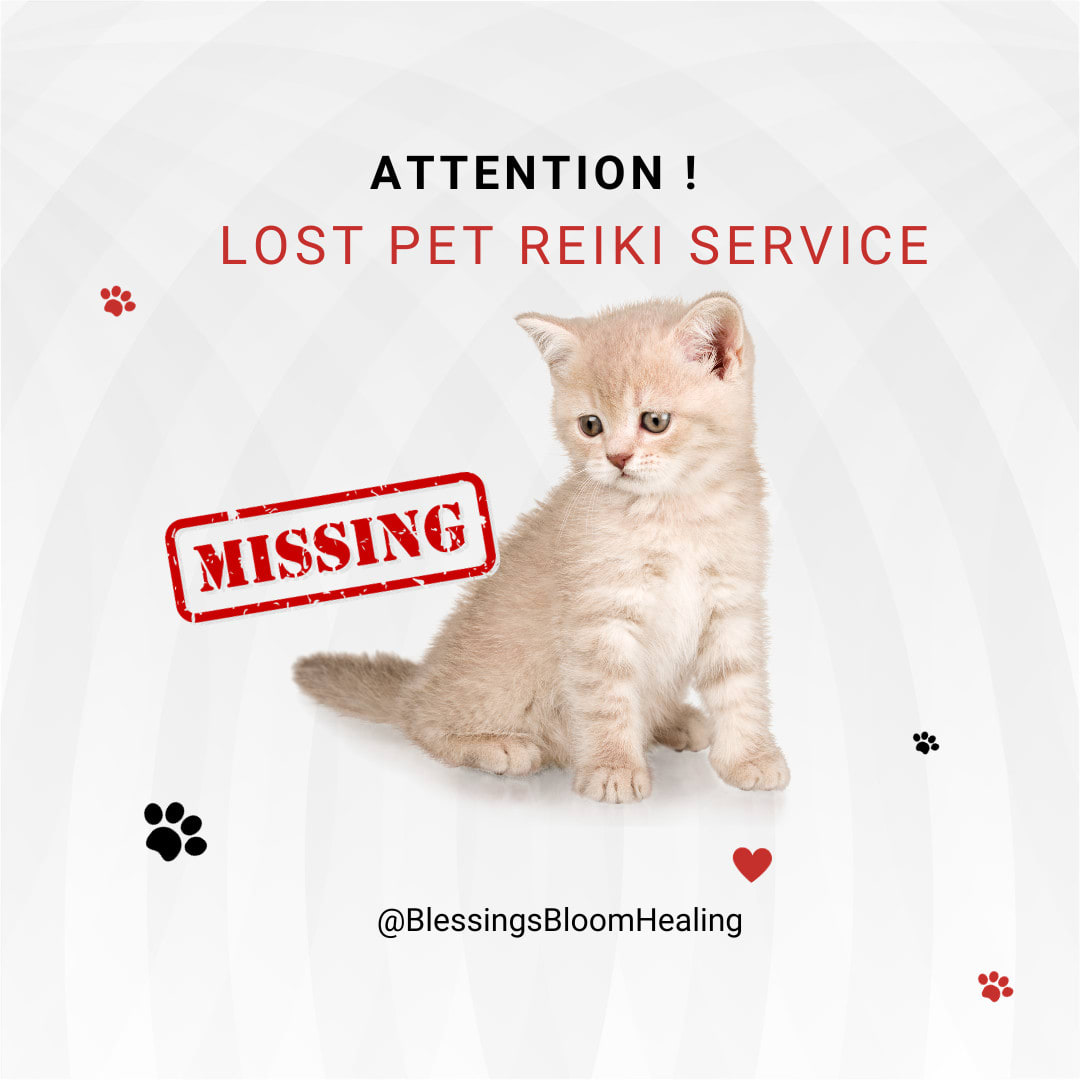 Found Pets Found Missing Cat Missing Cat Find Missing Pet A Lost