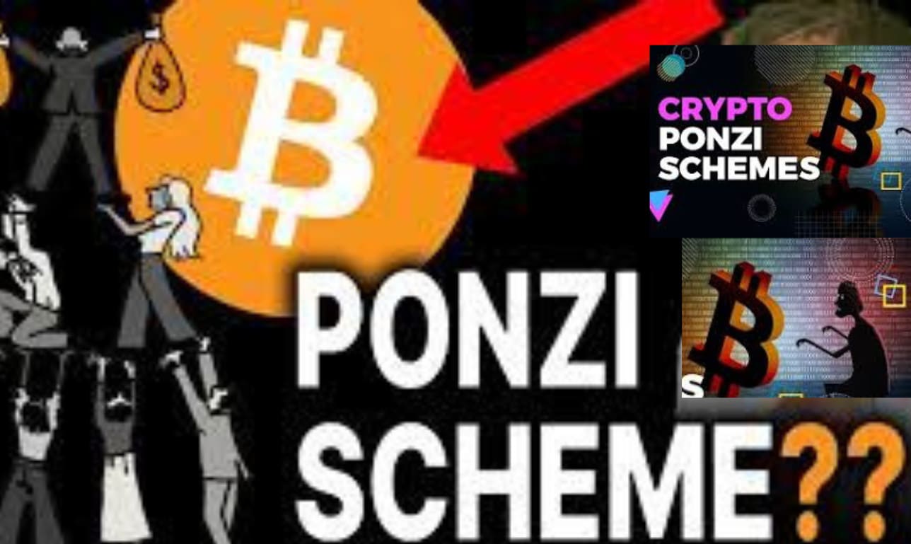 Build bitcoin mlm ponzi scheme website, usdt grabbing with affiliate  marketing by Esther_ander | Fiverr