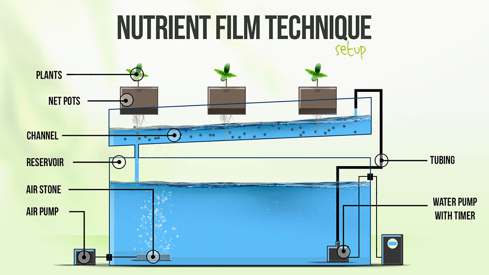 Integrate NFT Functionality into Systems