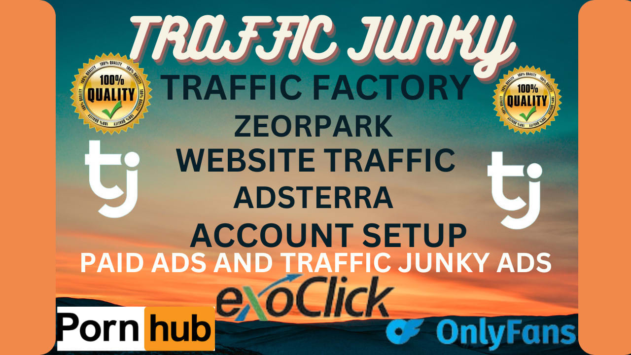 Setup and manage your traffic junky and exoclick campaign by Ramondlucky |  Fiverr