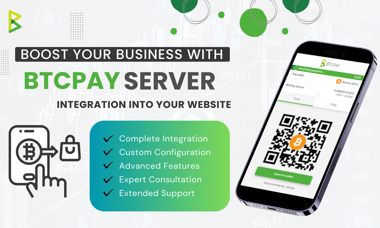 Expertly integrate btcpay server into your business website by  Adeena_khudadad | Fiverr