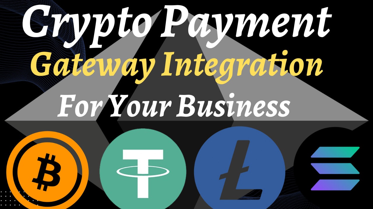 Payment Gateway How Do You Pay By Bitcoin Bitcoin Payment Gateway  Integration And Development Services