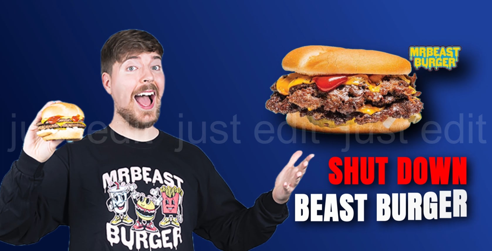 Burgers Abduls Just Eat Meatzza Chicken Burger Patty 500g In Delhi