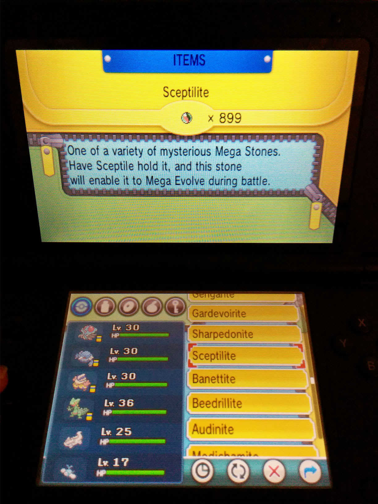 Trade You 5 Mega Stones In Pokemon Oras By Austinwang Fiverr