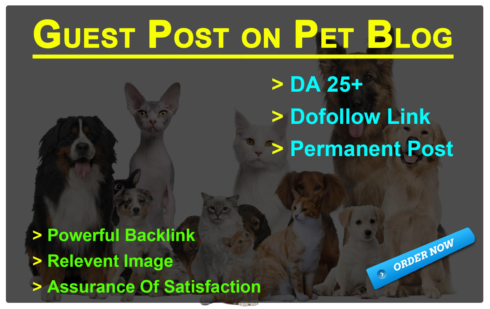 pet websites