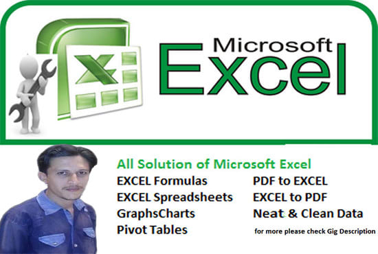 Help In Microsoft Excel Formula Spreadsheet Pdf To Excel By Farhangul262 Fiverr