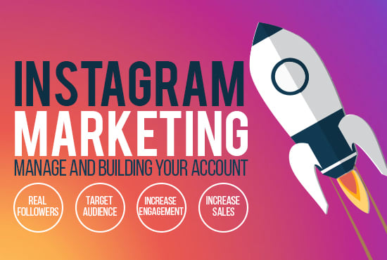 i will manage and grow your instagram - i grow instagram followers