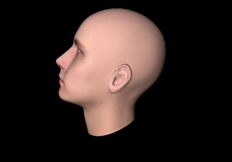 Make A 3d Model Of Your Face By Alexraescu