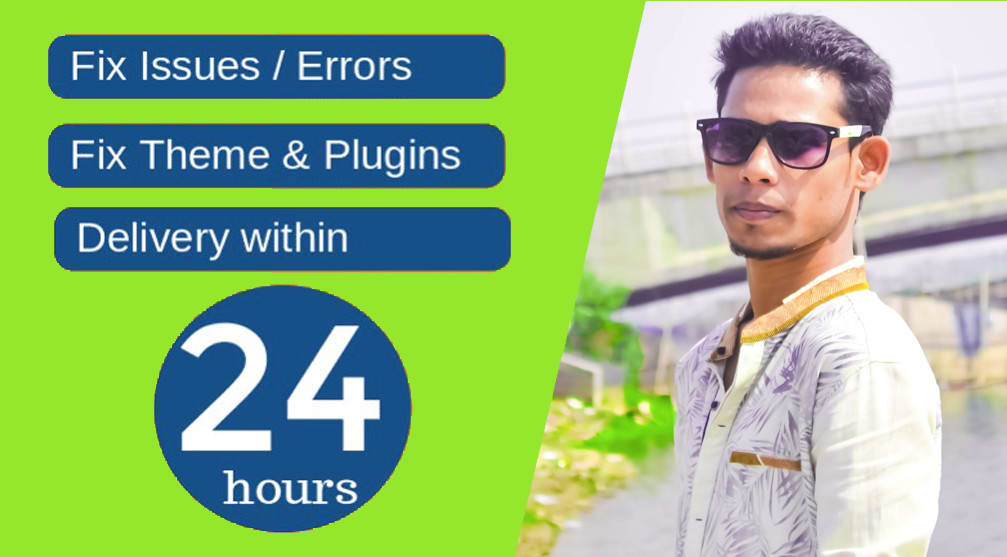 fix wordpress errors, issues or any problems