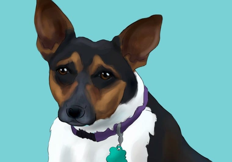 Do A Digital Painting Of Your Dog By Sgfanart