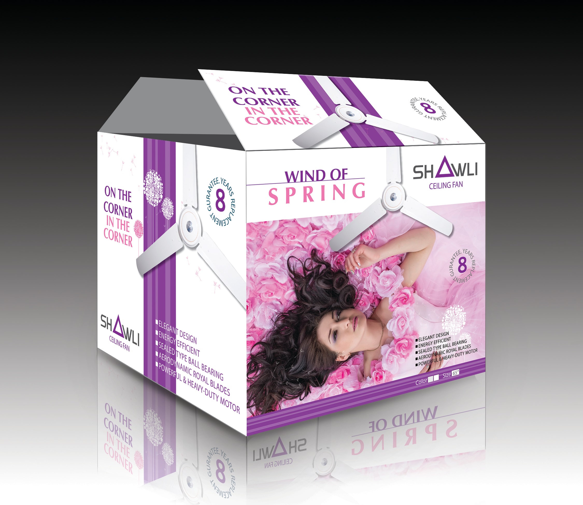 Ceiling Fan Box Design Shelly Lighting