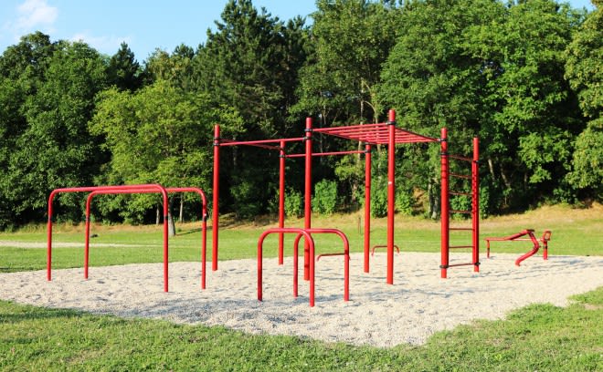 Compose calisthenics month workout plan for you by Ouzeckyjosip