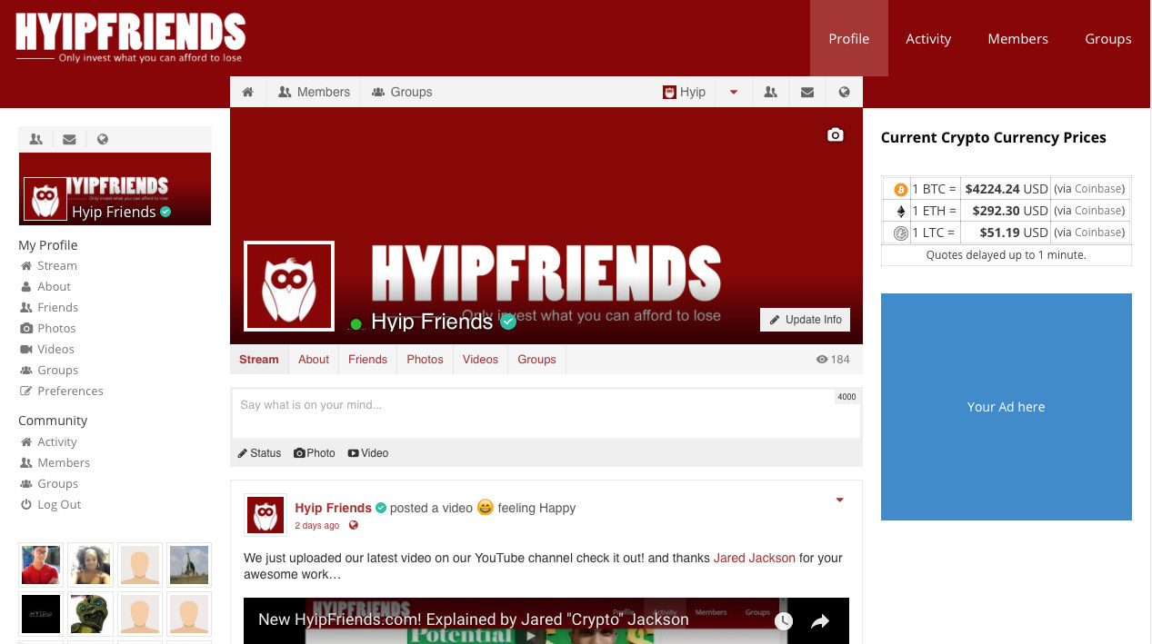 Advertise your hyip, bitcoin or ico projects on hyipfriends by Hyipfriends  | Fiverr