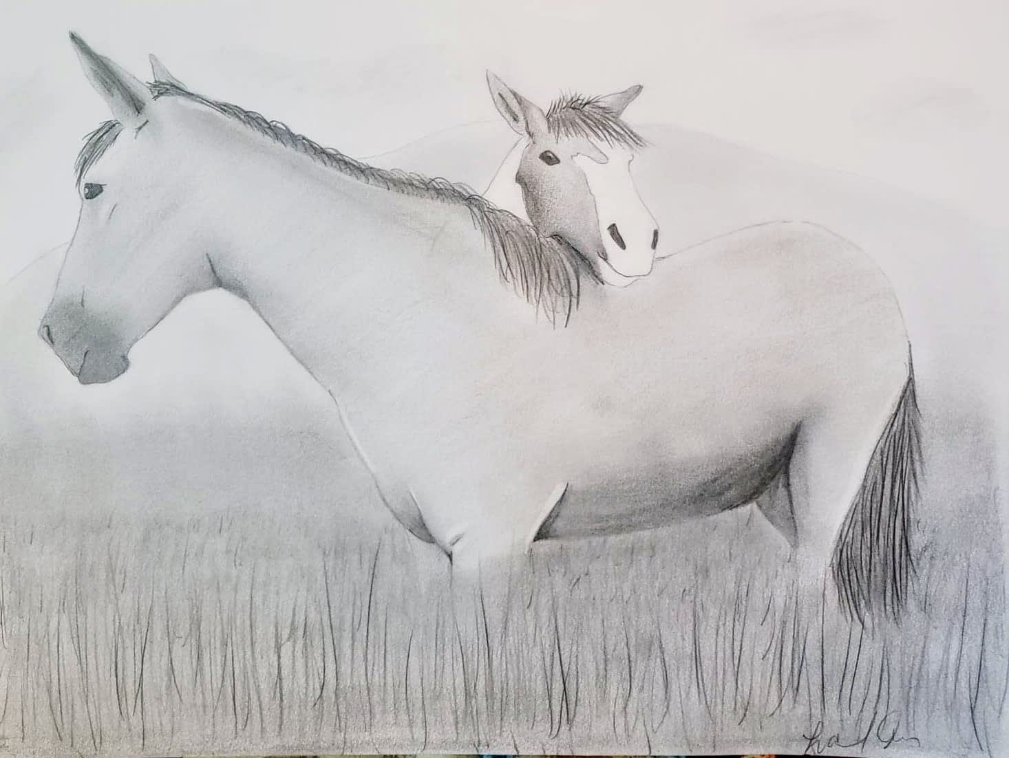 Draw Your Favorite Animal Or Asl Drawing By Lanig94 Fiverr