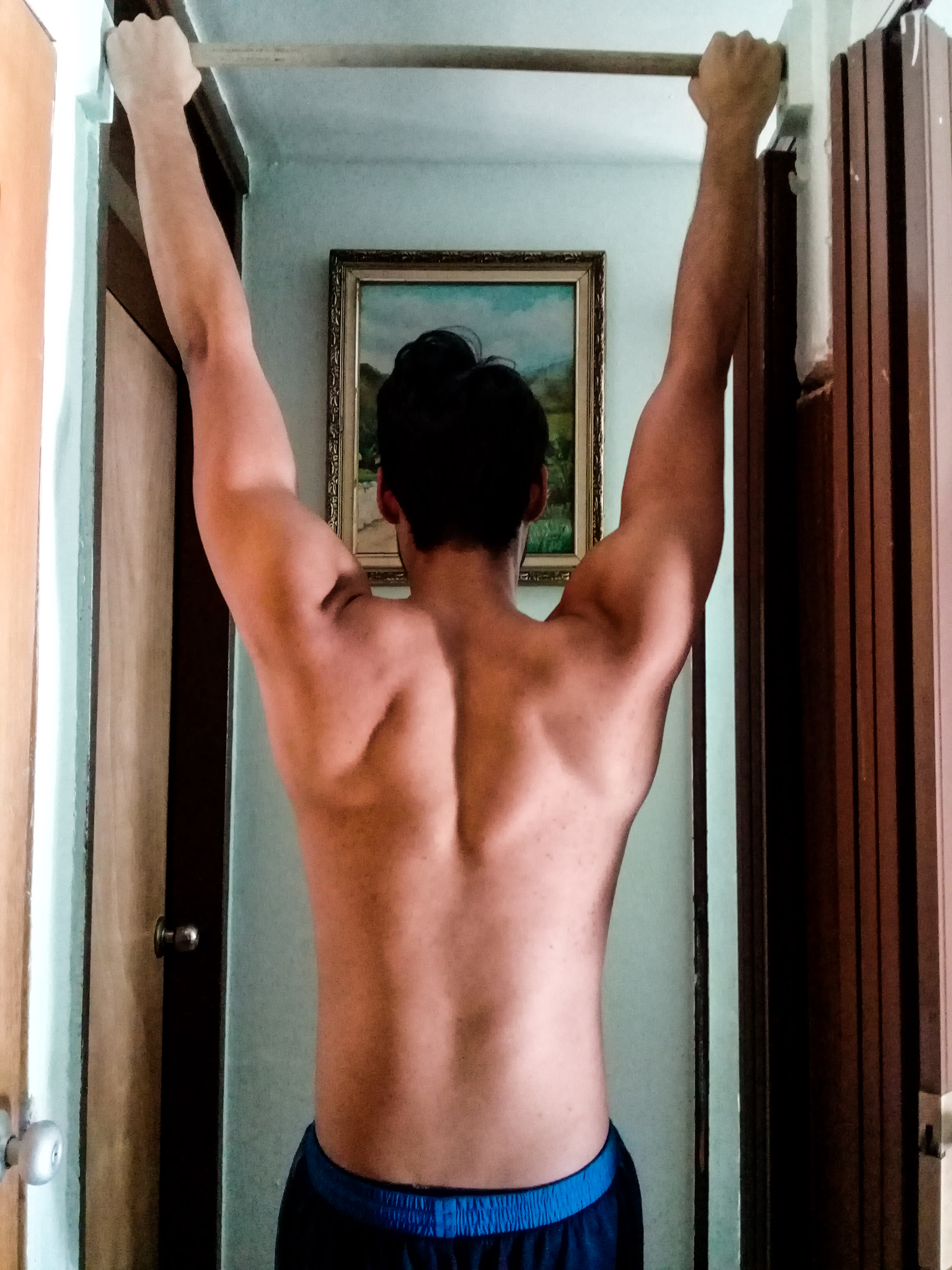 Calisthenics Bodybuilding Program Reddit Doing Calisthenics