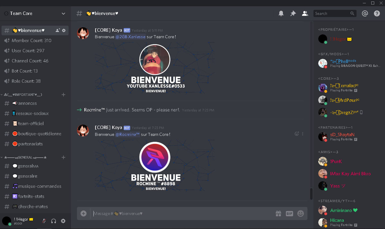 Create A Good Looking Discord Server By Ilyess0