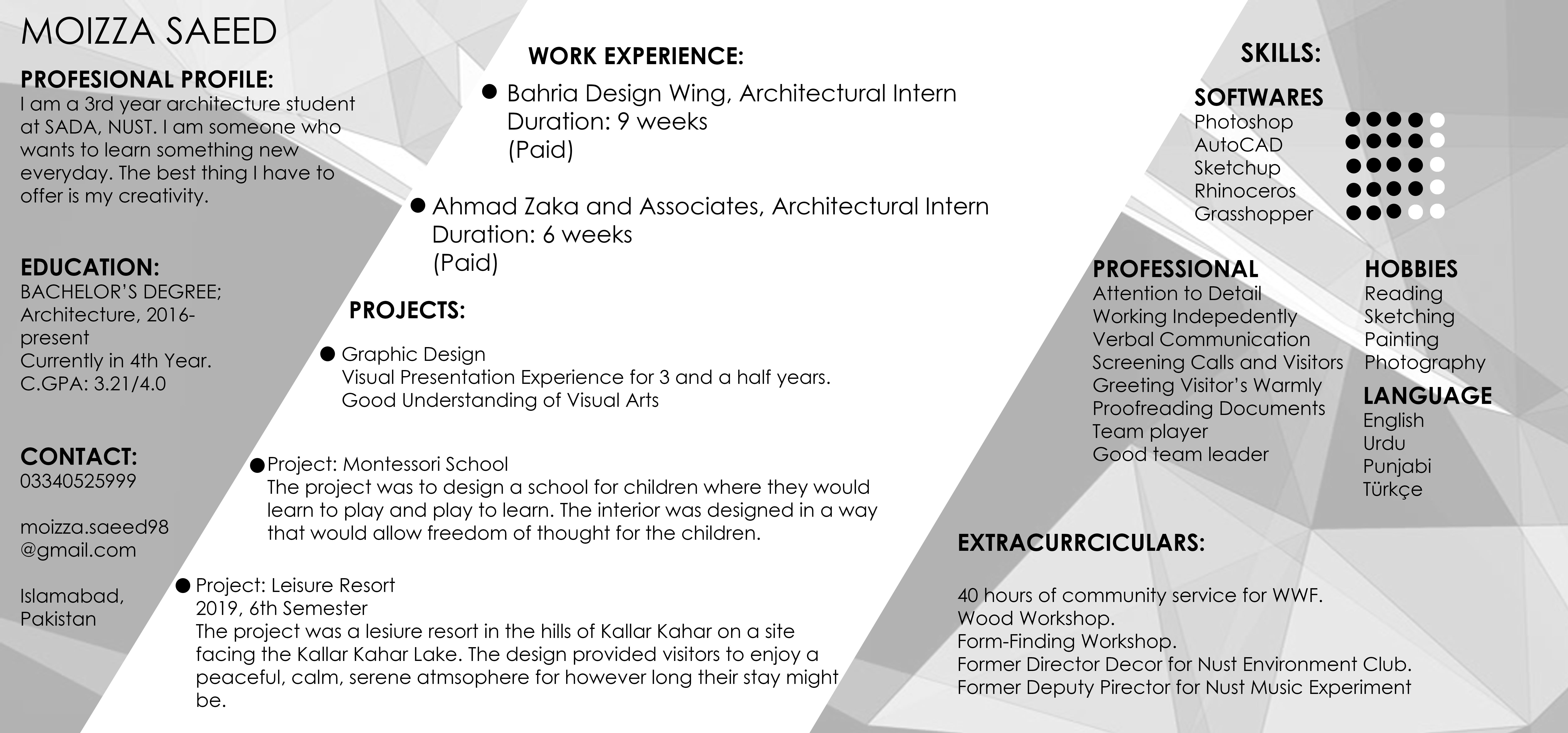 Make And Design Cvs And Resumes By Tehreemasood