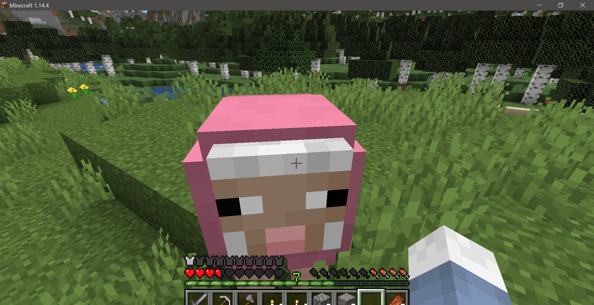 How Do You Get Watermelon Seeds In Minecraft