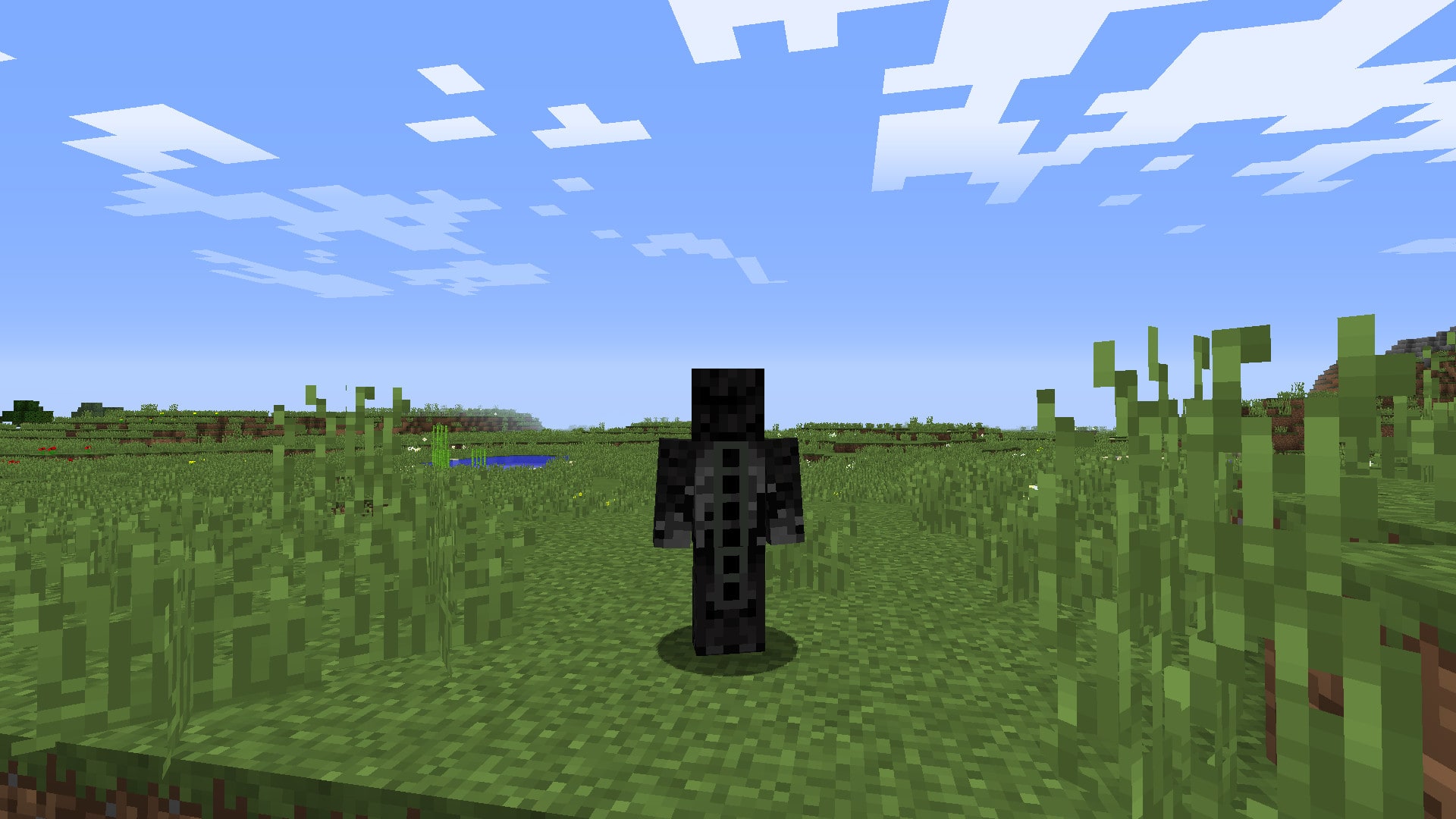 Ender dragon, Minecraft Skin