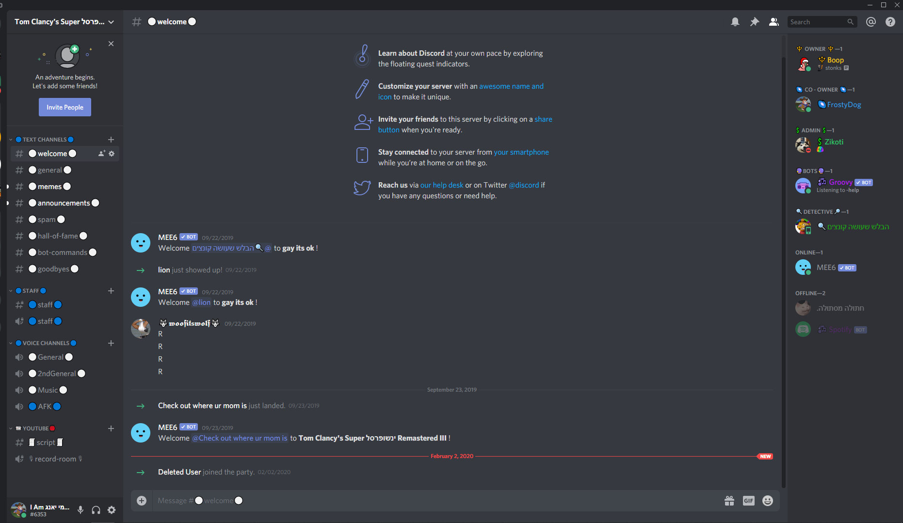 Make you a good looking discord server by Frostydog96 | Fiverr