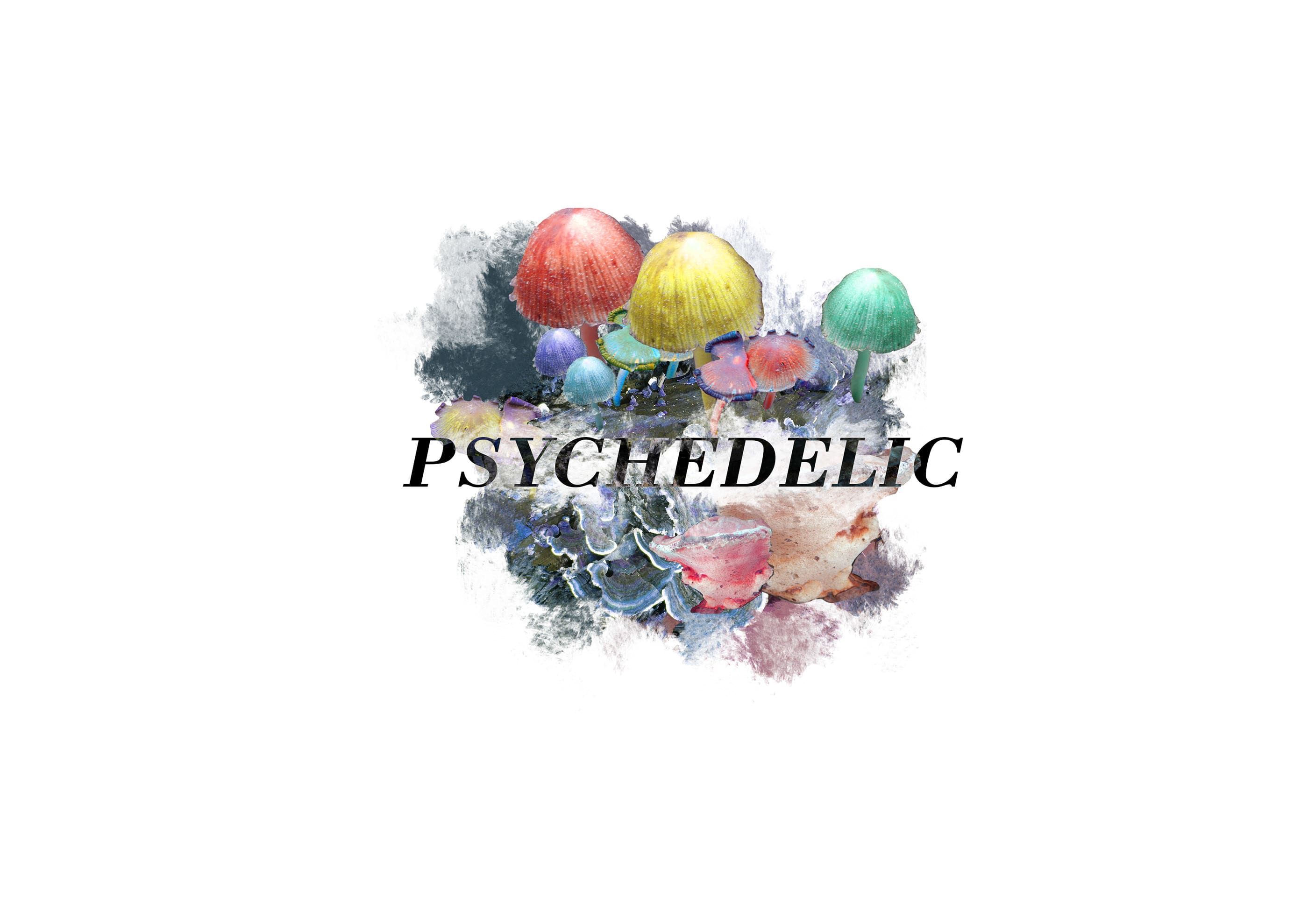 Make An Awesome Custom Logo For People In Need By Agonizer