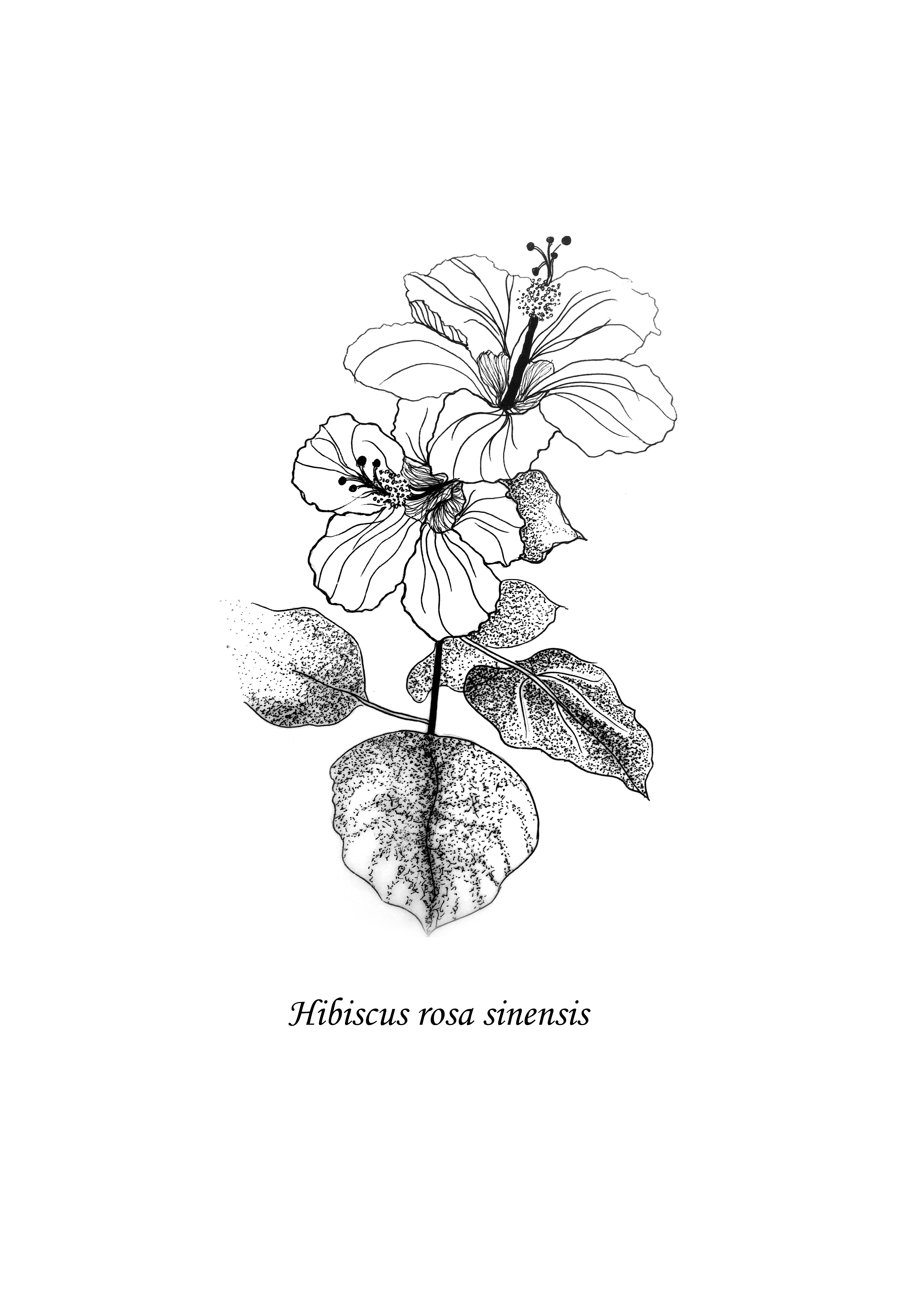 Create A Unique Minimalist Line Work Tattoo Design In 24h By Asmary Fiverr