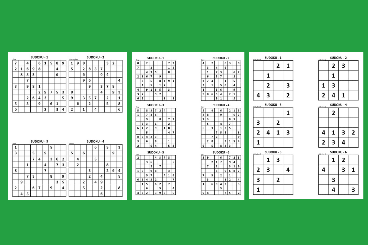 Sudoku Puzzle Books for Kids in Bulk: : beginner sudoku puzzle books for  kids under 5 with 4x4, 6x6, and 9x9 Puzzle Grids (Paperback) 