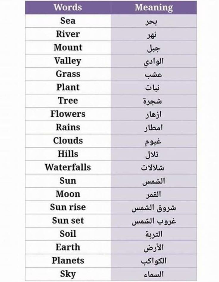 convert-numbers-to-arabic-words-48-off