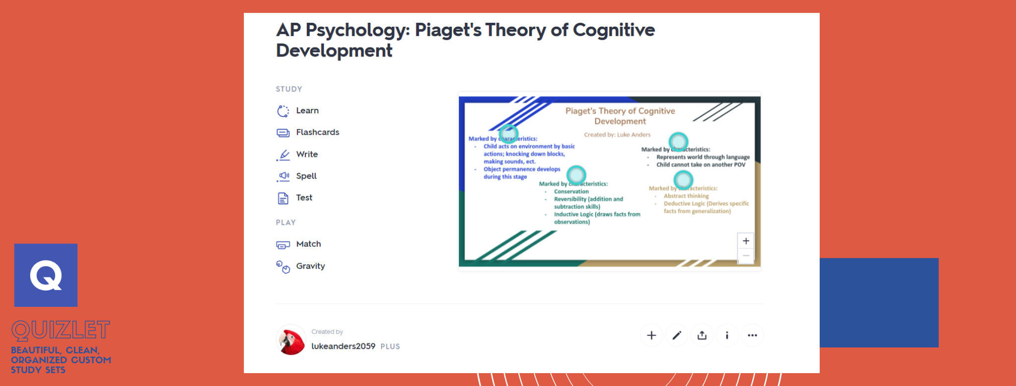 cognitive development quizlet