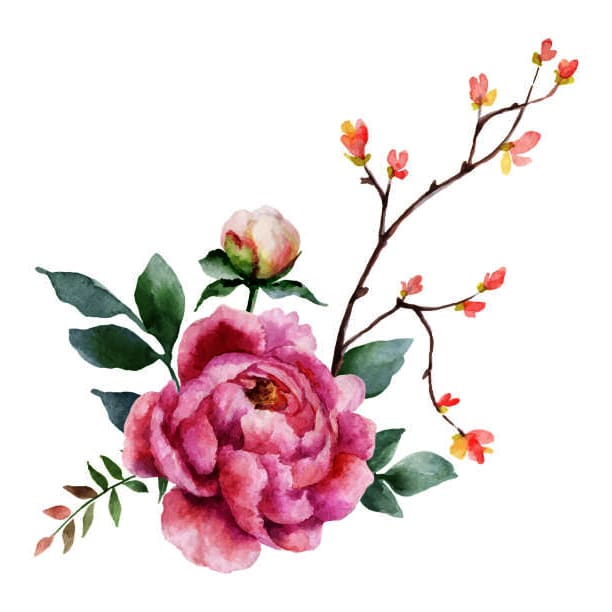 Draw and drawing flower illustration by Deepberma0 | Fiverr