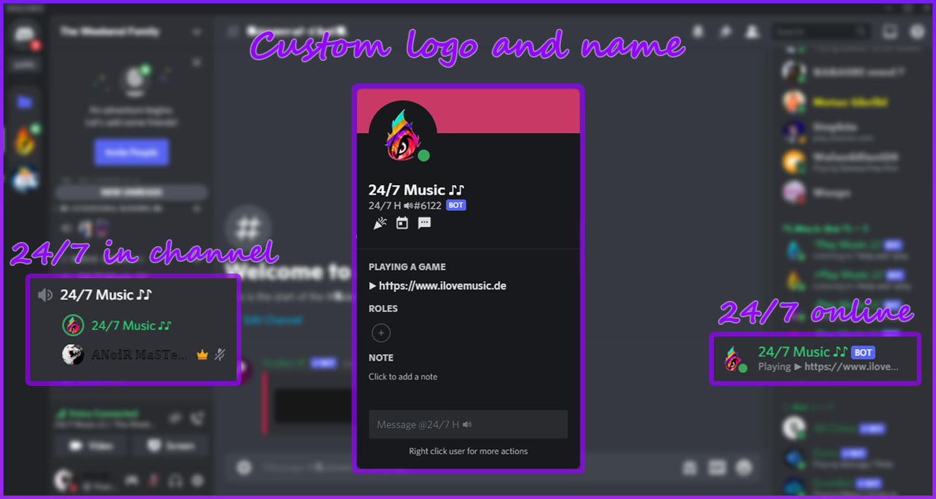 Create a discord music bot radio working 24h by Trabelsianoir | Fiverr
