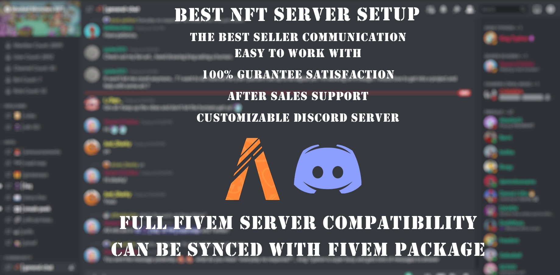 Setup the best gaming, nft, anime or fivem discord server by Babarrehman