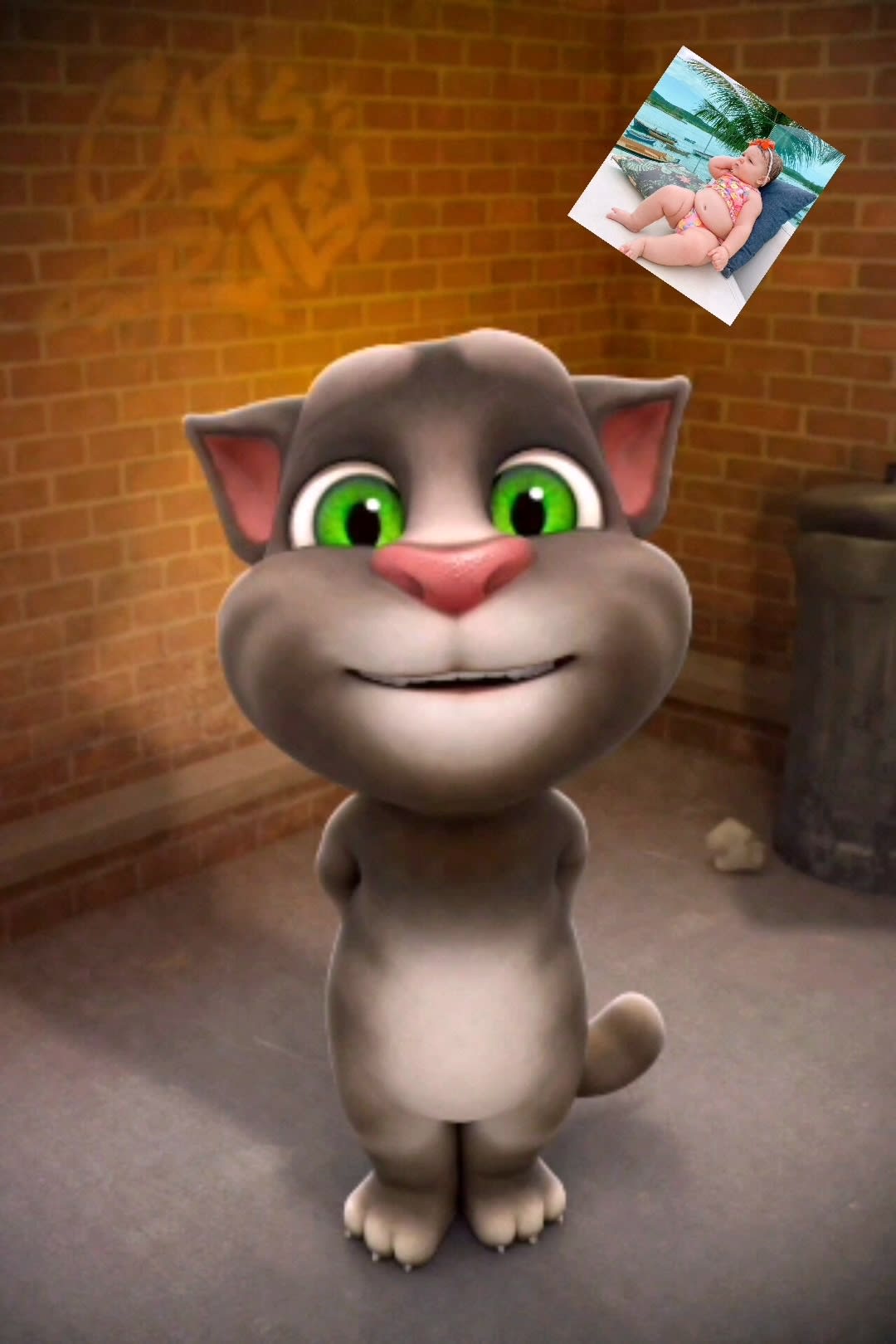 Make a funny happy birthday video tom cat within 7 hour by Nalakaweer | Fiverr Make a funny happy birthday video tom cat within 7 hour by Nalakaweer | Fiverr
