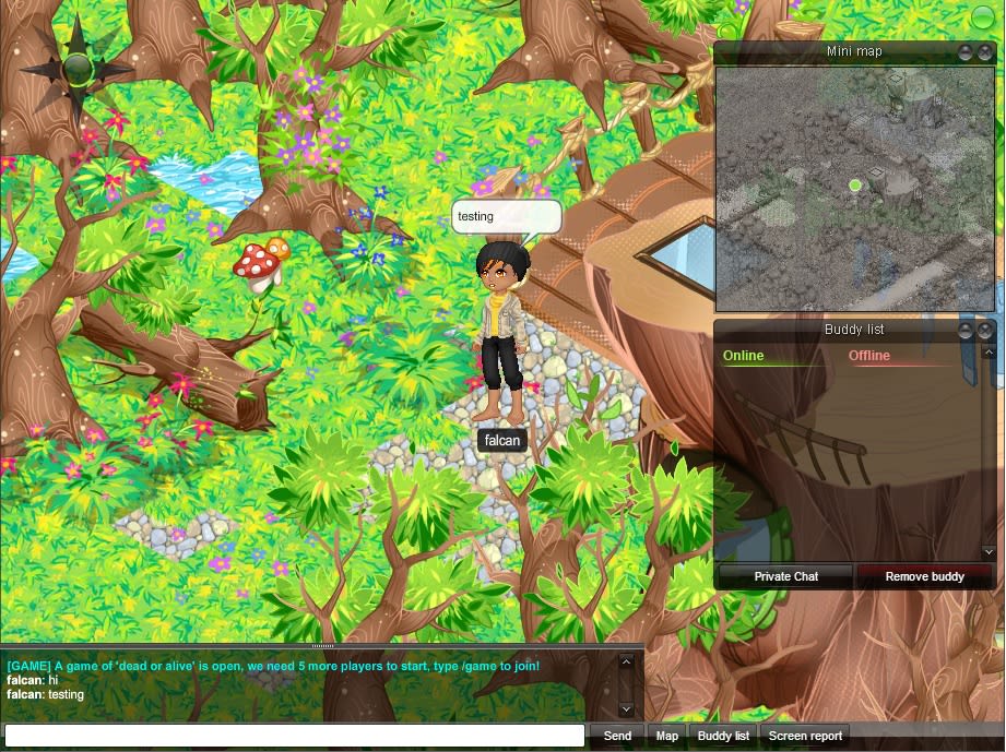develop a multiplayer web game or avatar chat