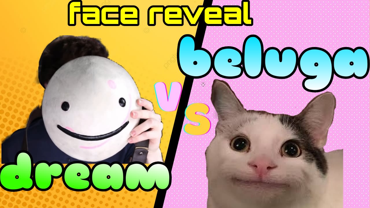 beluga cat face reveal 